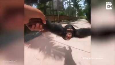 You spin me right round baby right round