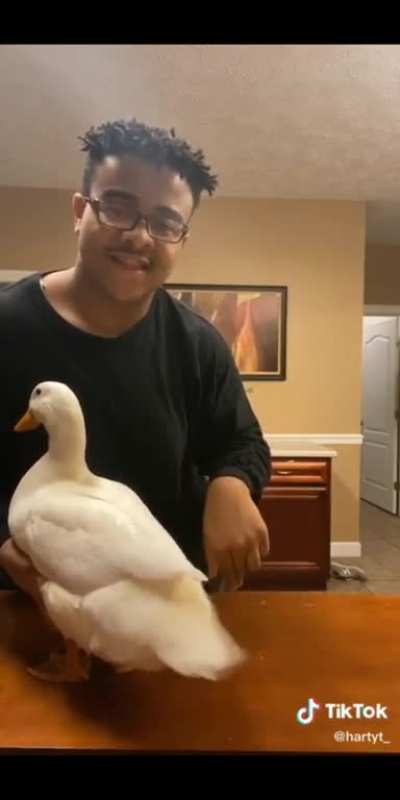 Who says a bro can't be a cool duck?
