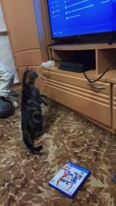 Nice reflexes...