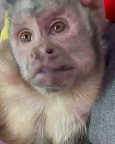 sálganse de reddit, quiero estar solo (no es un clip pero tenía que poner una etiqueta xd)
