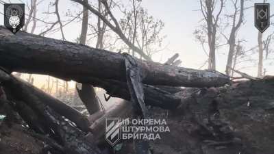 Ukrainain 3rd Assault Brigade clearing Russian positions somewhere in the Kharkiv region