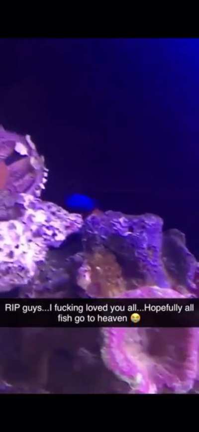 This guy&rsquo;s ex-girlfriend destroyed his tank that he spent three years on and smashed his fish on the ground just to get his attention after breaking up. What a POS.