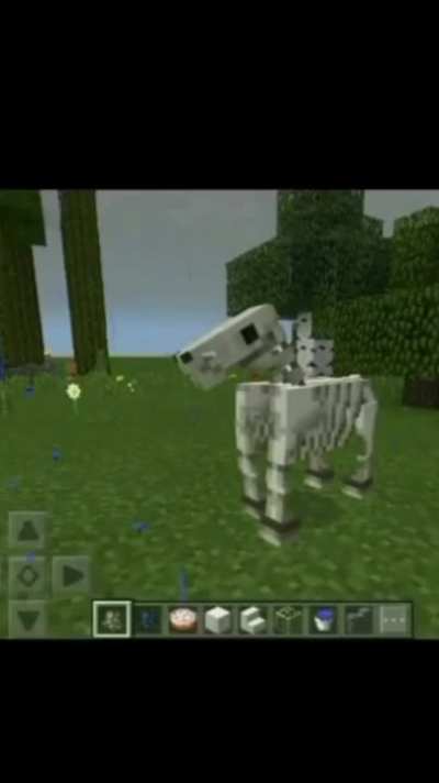My hors