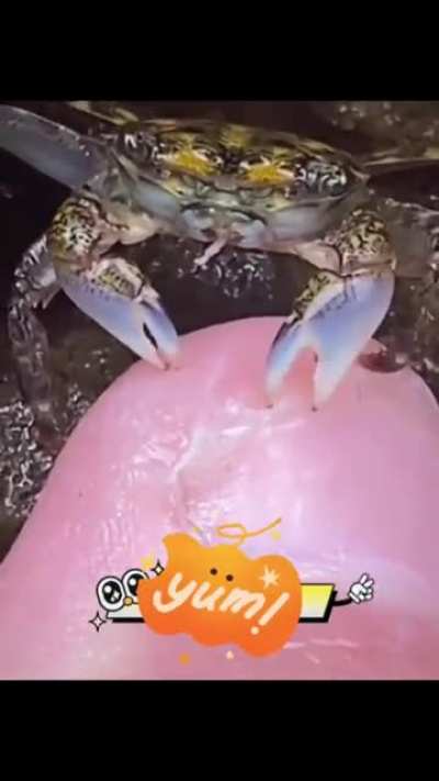 Dinner time