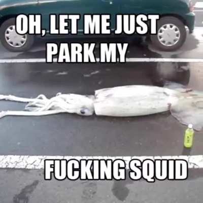 At least he stayed in the lines.