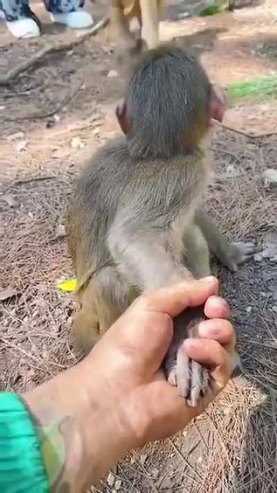Wait a minute
