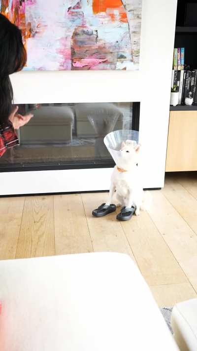 Rae's Crocs Ad