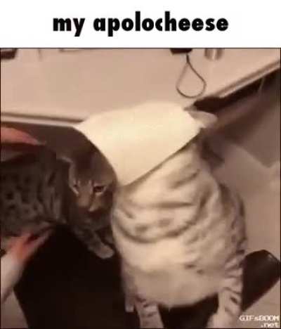 name