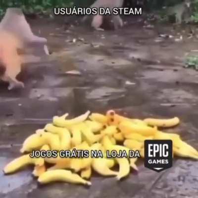 🦍🦍🦍