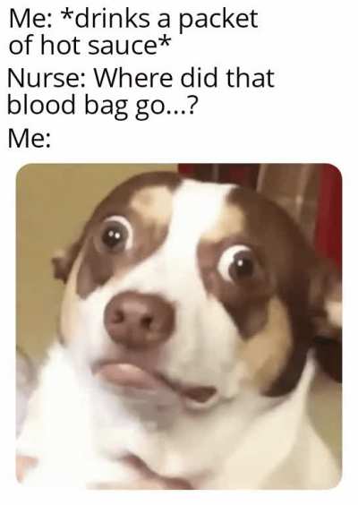 damn it was good