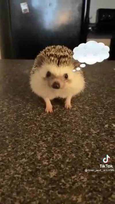 What are you thinking about?