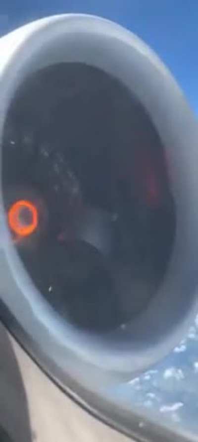 Not the 1st time on a plane, uh how important is that thingy? One is inside an engine...