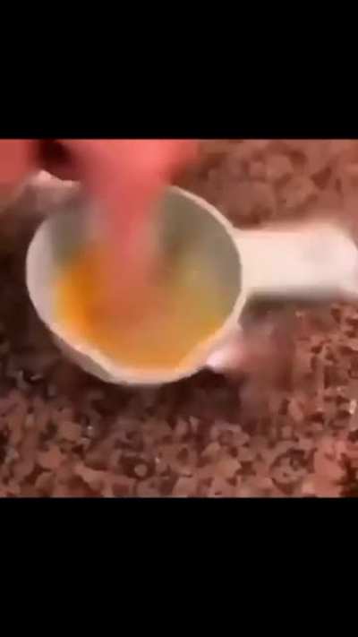Mu&eacute;strame lo que puedes hacer con esos dedos...