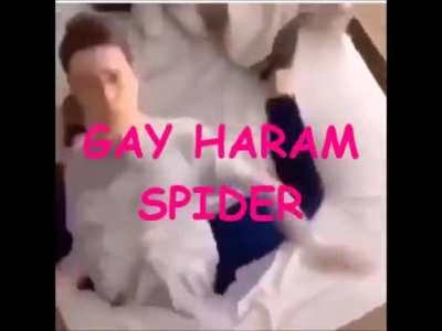 Gaming video 2020 144p HD