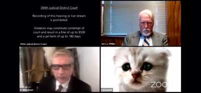A lawyer using Zoom inadvertently activating a cat face filter