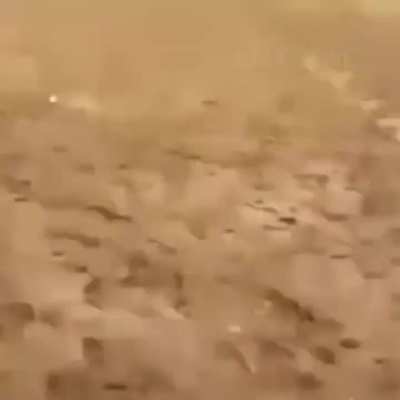 oe aweonao eri entero maraco version latina