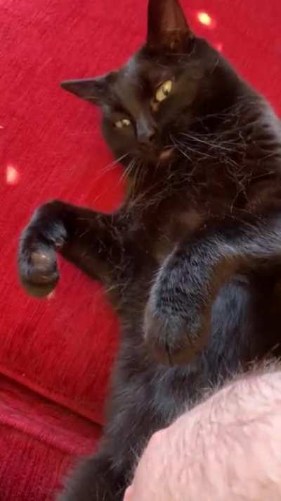&ldquo;I didn&rsquo;t say you could stop!&rdquo;
