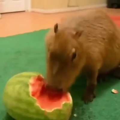 comer