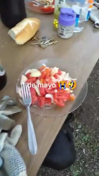Cuando el día del animal está muy cerca del día del trabajador!