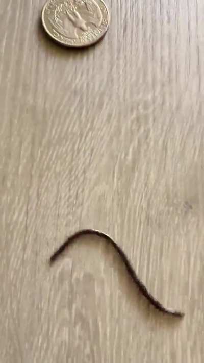 Excuse the music. What is it?