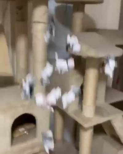 А чё, так можно было??