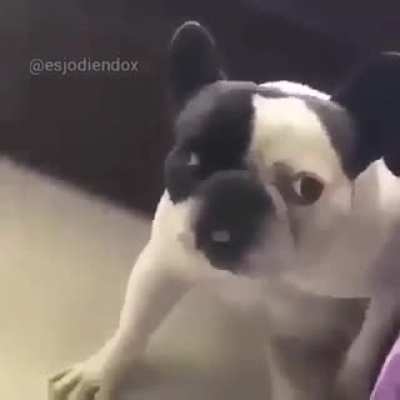 .___.