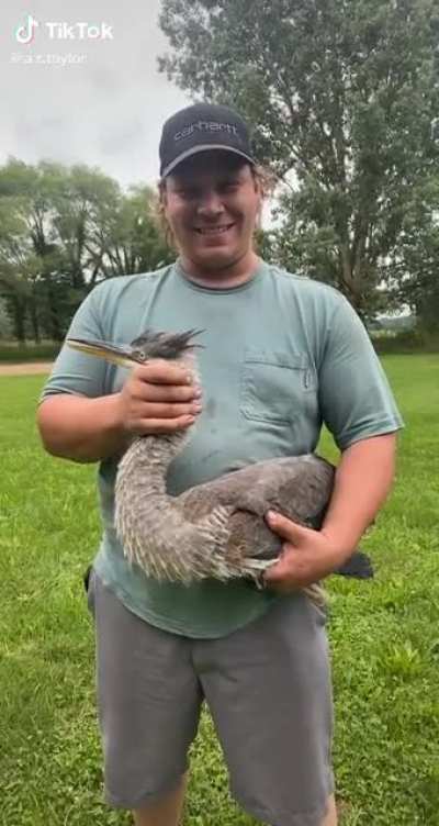 Birb