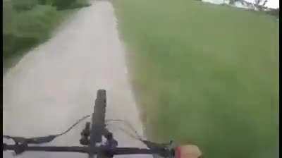 Luck or skill?