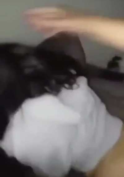 &ldquo;If it&rsquo;s missionary we&rsquo;re making love, otherwise I&rsquo;m just fucking you.&rdquo;