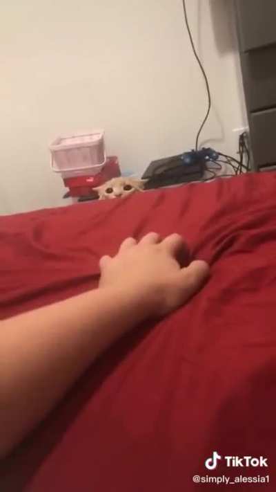 he’s coming