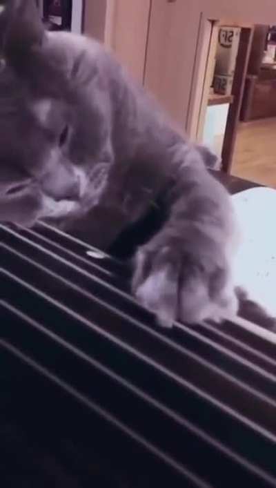 Немного музыки