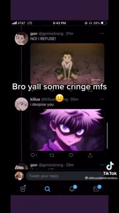 Anime fans