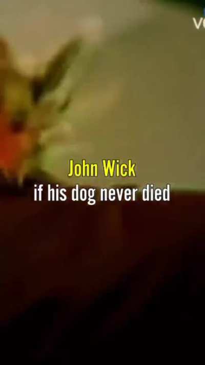 🐶