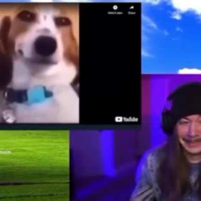 what da dog doin?
