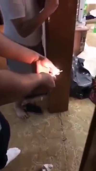 Rocket!