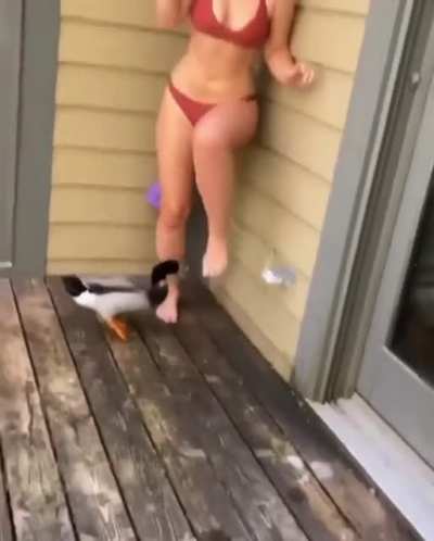 Attack Drone