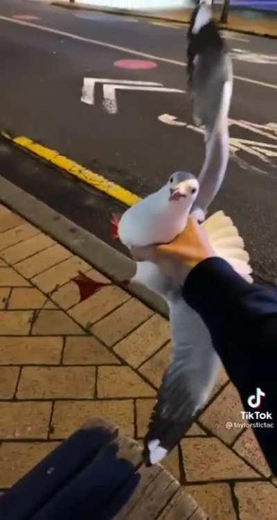 Nature wants some food