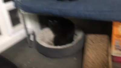 fear