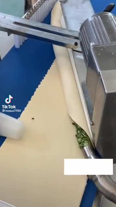 Don&rsquo;t know if this belongs here. I hate it so much.