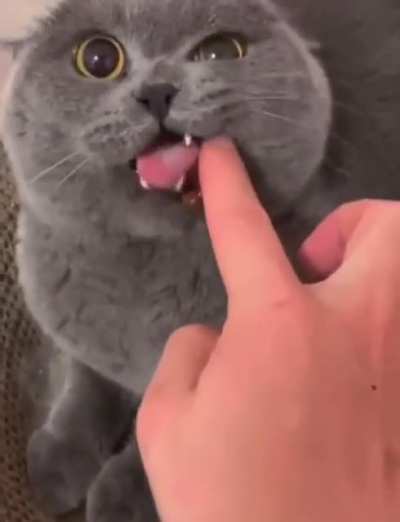 'Do not be mad'