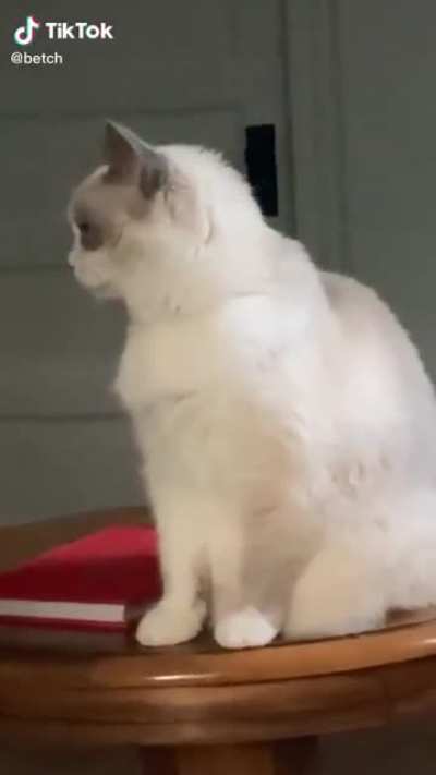 OO