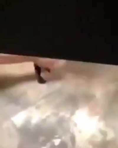 &Eacute; voc&ecirc; muca