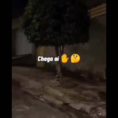 O SINHO