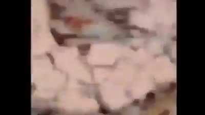;-;
