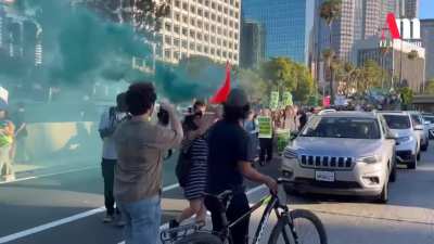 Protestors overtake 110 Freeway in Los Angeles