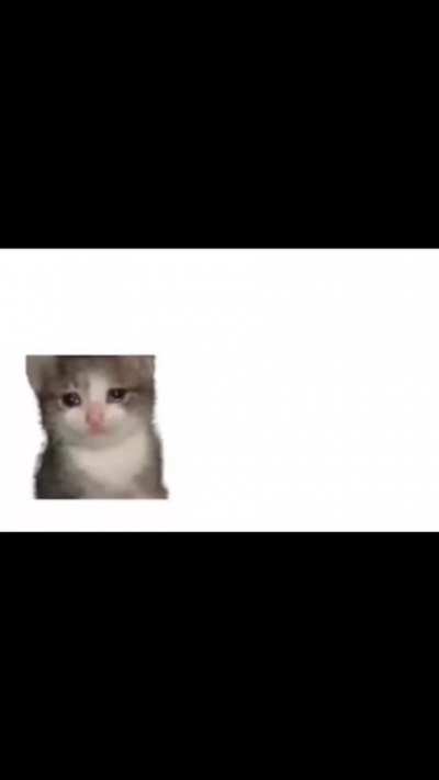 ⚒️