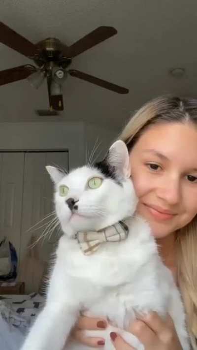 hmm