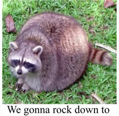 racc