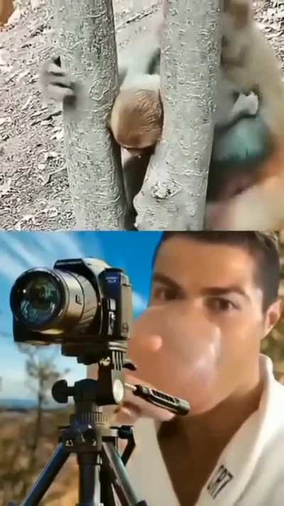 Humor.