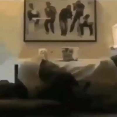 it's pooping time